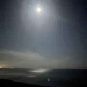 青汁の画像