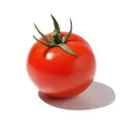 ととの画像