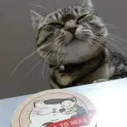 tanamizの画像