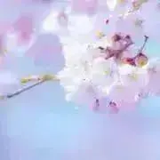 らんど☆プロフ必読の画像
