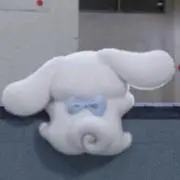 crの画像