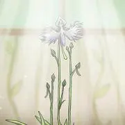 ライちの画像