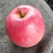 空くんショップ1の画像