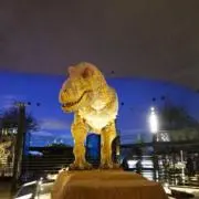Hの画像