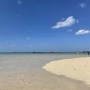 ラグ助