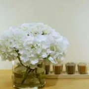 さらさ