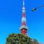 chico☺︎の画像