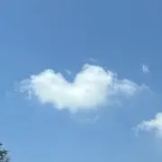 ふわぽわの画像