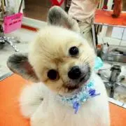 さかモン