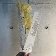☺︎
