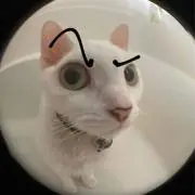 エコーズ