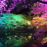 M︎︎の画像
