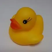 ひよこ♡
