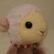 ぱんだDXの画像