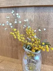 ぴかmama★の画像