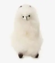 あるぱか【24h以内発送】の画像