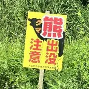 だいの画像