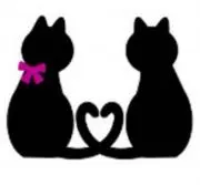 ねこのミライの画像