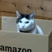 あき