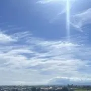 ttの画像