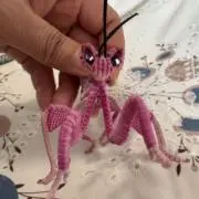 蓮の画像