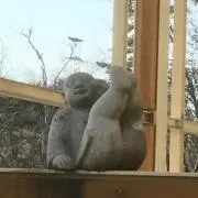 かーりっぺの画像