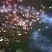やんの画像