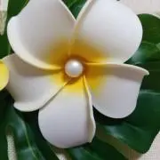 【Yutomama】