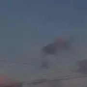 るるの画像