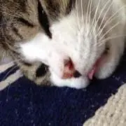 おけんまる★プロフ必読★の画像
