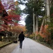 Sasami620の画像