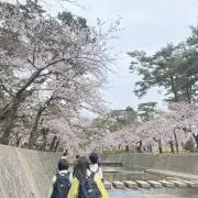こうの画像