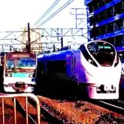 にっしーの画像