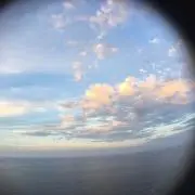 ぱんだの画像