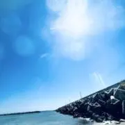 いずみ　家の片付け真っ最中の画像