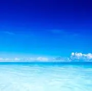 New Ocean