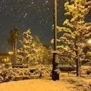 21世紀 ハッシャダイの丘から ハルカミライ デモ 廃盤 - メルカリ