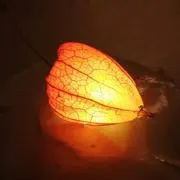 千夜丸 【プロフご一読願います！】の画像