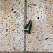 碇の画像