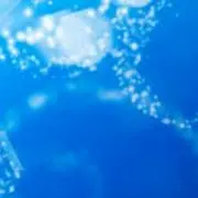Ssの画像