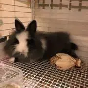 みっちゃんの画像