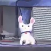 キキ