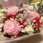 AiRuの画像