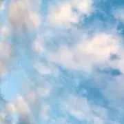 りんりん