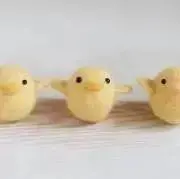 いかの画像