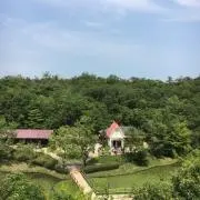 mm。