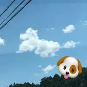 CHICKEYの画像
