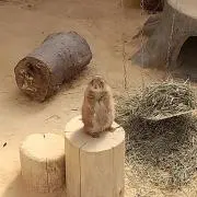 みちるの画像