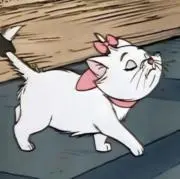 マダオ　発送日3/10、3/21