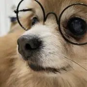 なおり